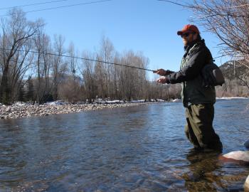 Roaring Fork River Trout Fishing Roaring Fork River Trout Fishing