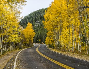 Fall foliage in Aspen Snowmass Fall foliage in Aspen Snowmass
