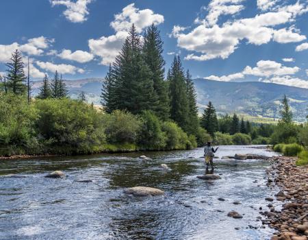 FLY FISHING ASPEN SNOWMASS