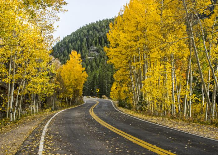 Fall foliage in Aspen Snowmass